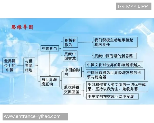 加维在国际舞台上的崛起与影响力分析及未来发展趋势探讨
