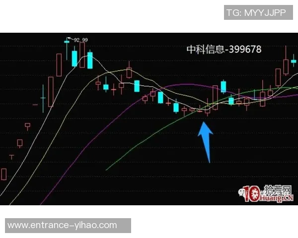 南京羽毛球队的力量与潜力分析聚焦于技术与团队协作的深度探讨