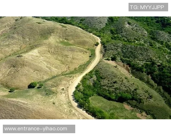 墨超华雷斯对决精彩回顾与战术分析全景展现