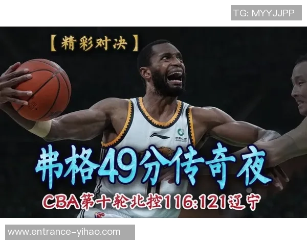 探寻弗格的魅力与传奇背后的故事与启示